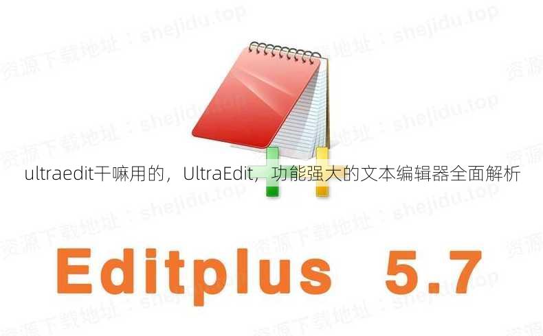 ultraedit干嘛用的