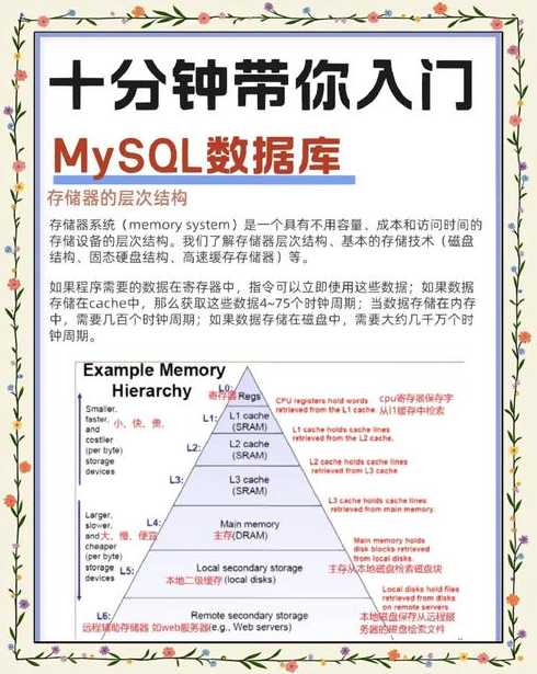 数据库dbms（数据库dbms名词解释）