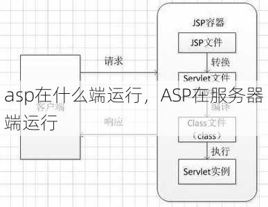 asp在什么端运行
