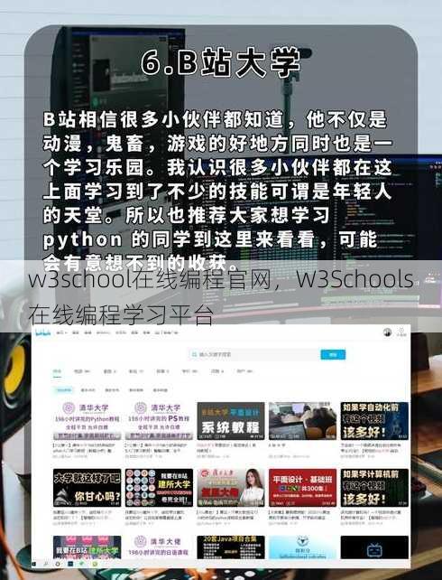 w3school在线编程官网