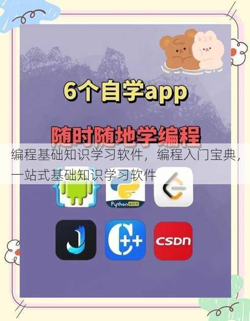 编程基础知识学习软件