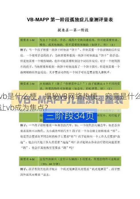 vb是什么梗