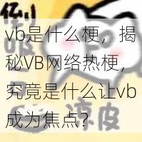 vb是什么梗