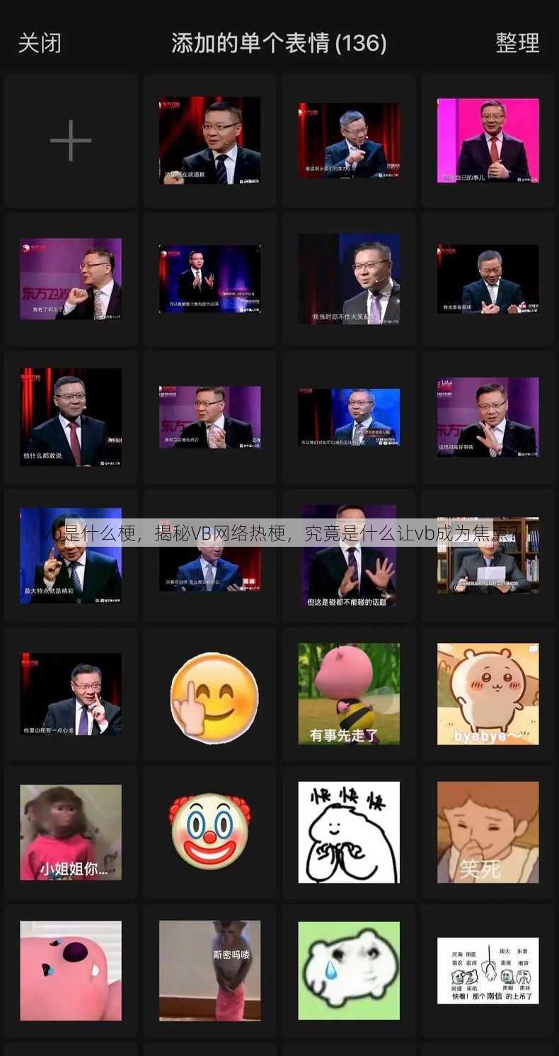 vb是什么梗