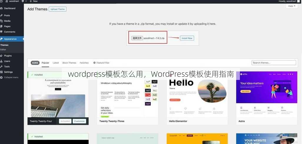 wordpress模板怎么用