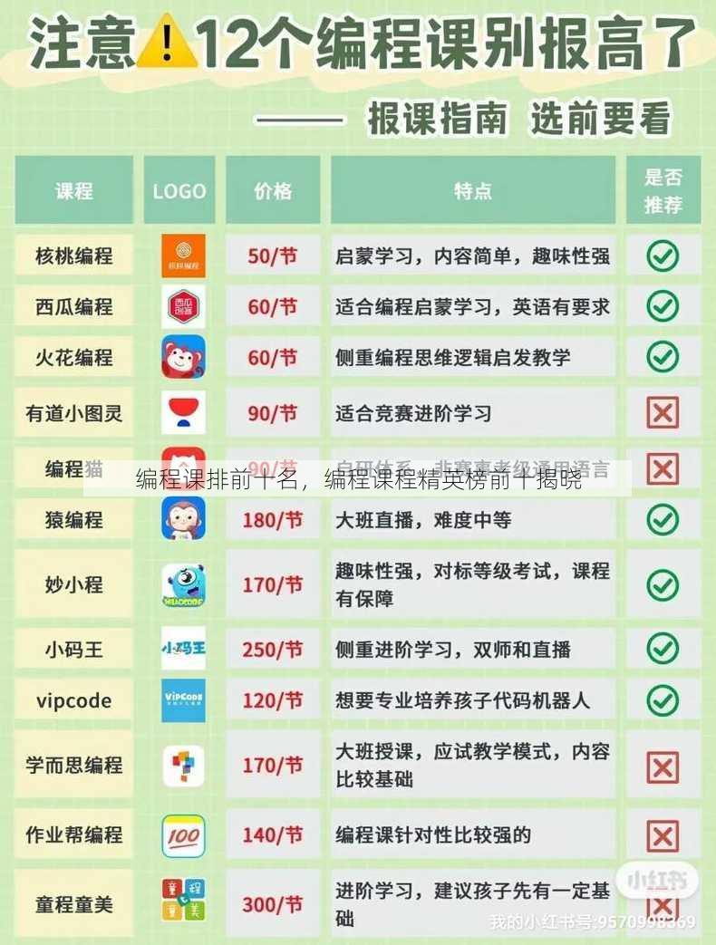 编程课排前十名
