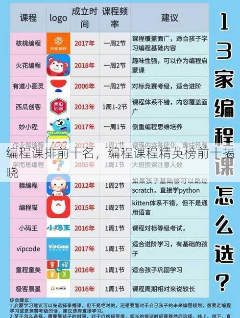 编程课排前十名