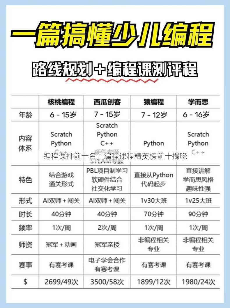 编程课排前十名