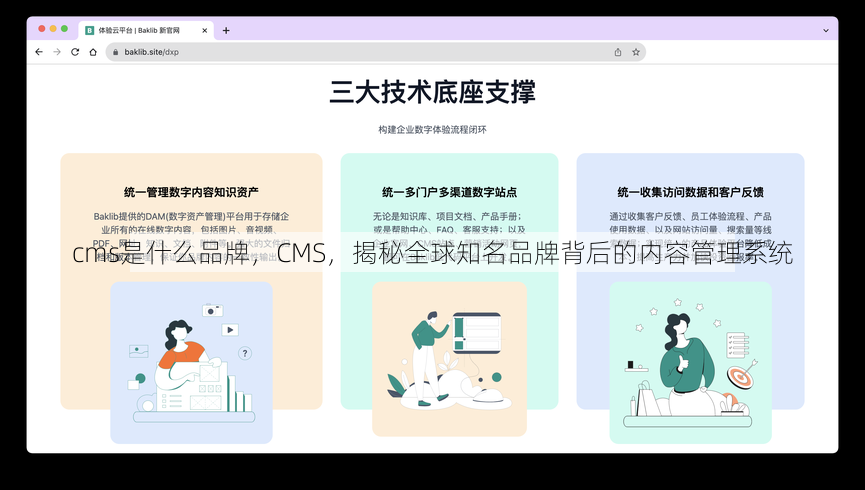 cms是什么品牌