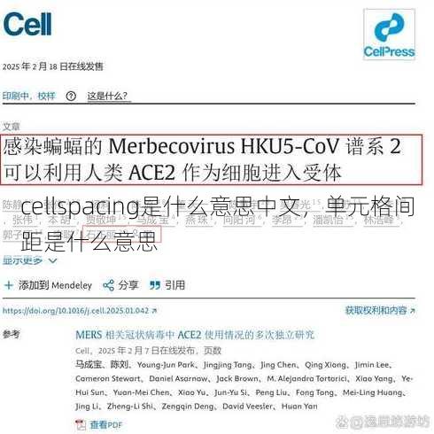 cellspacing是什么意思中文