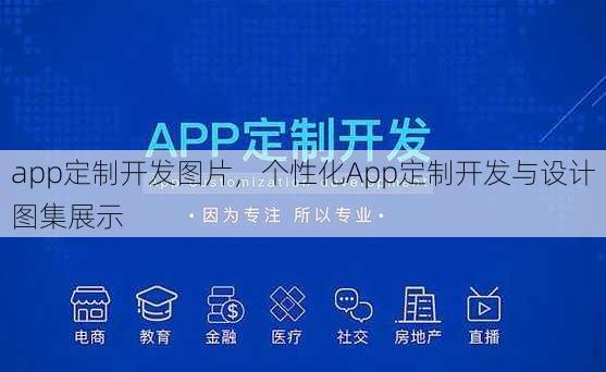 app定制开发图片