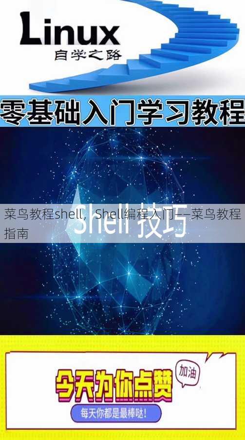 菜鸟教程shell