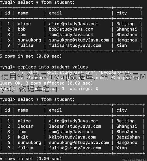 使用命令登录mysql数据库