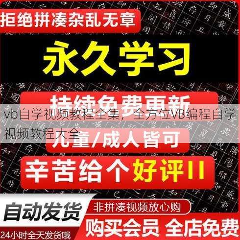 vb自学视频教程全集