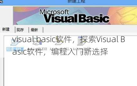 visual basic软件