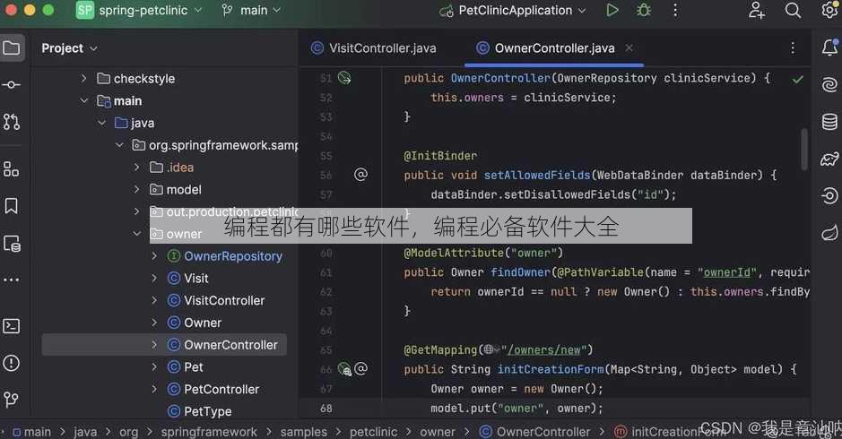 编程都有哪些软件