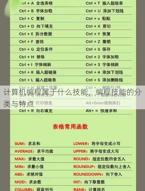 计算机编程属于什么技能