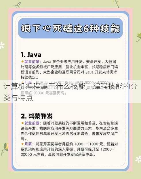计算机编程属于什么技能