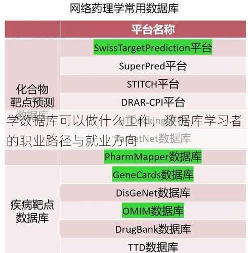 学数据库可以做什么工作