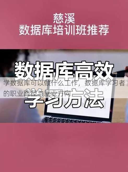 学数据库可以做什么工作