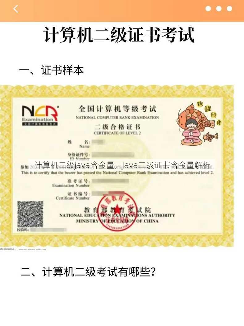 计算机二级java含金量