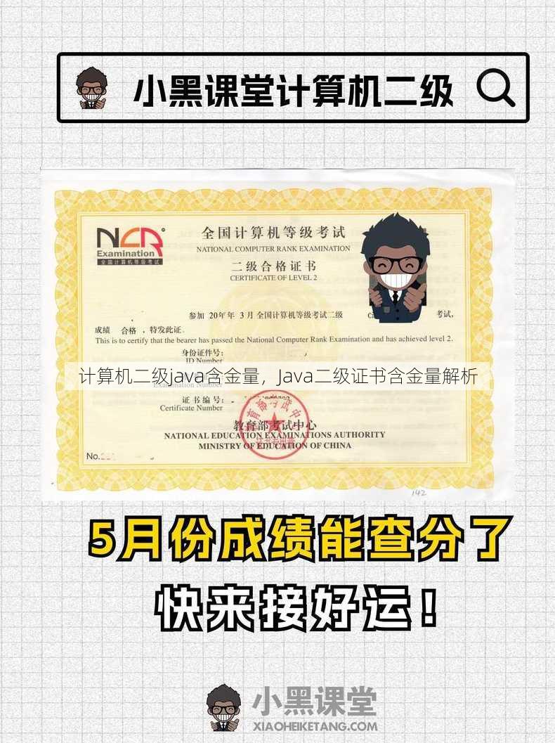 计算机二级java含金量