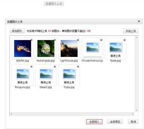 swfupload下载（swf下载安装）