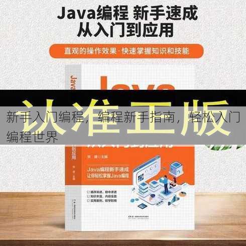 新手入门编程