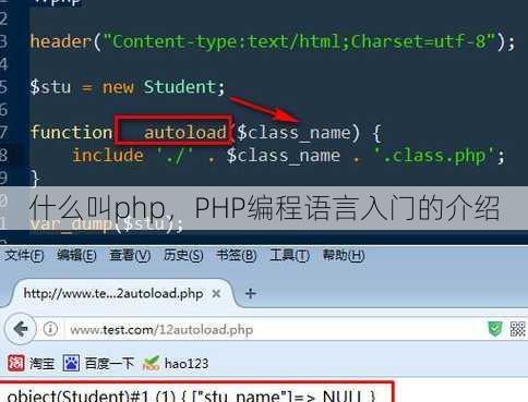 什么叫php