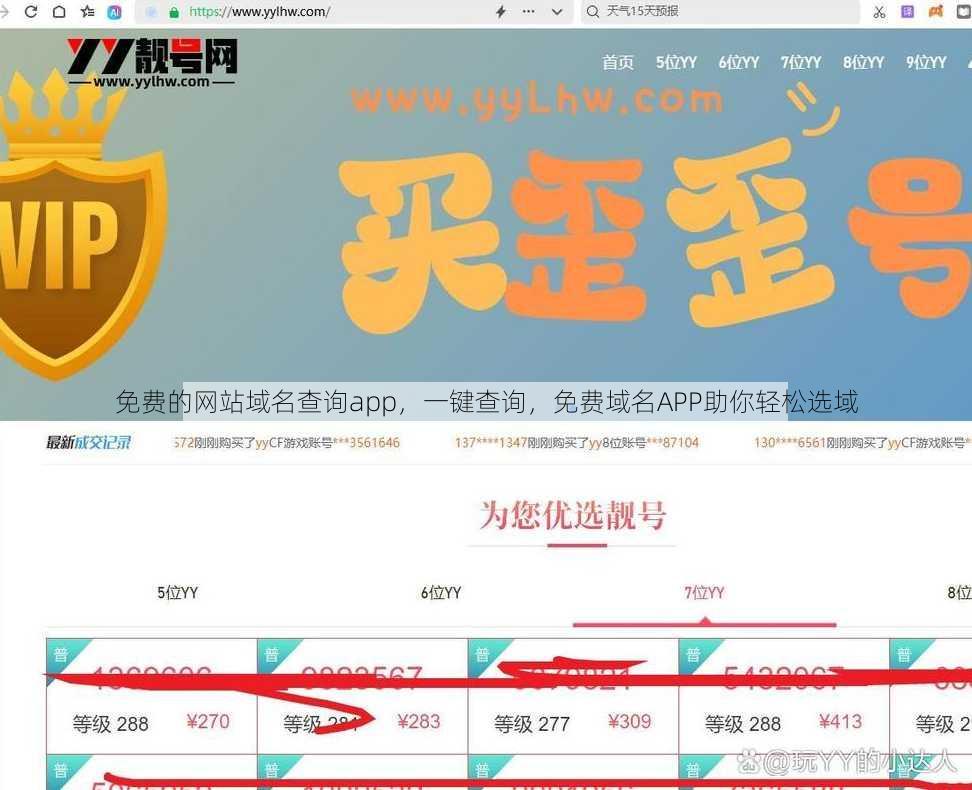 免费的网站域名查询app