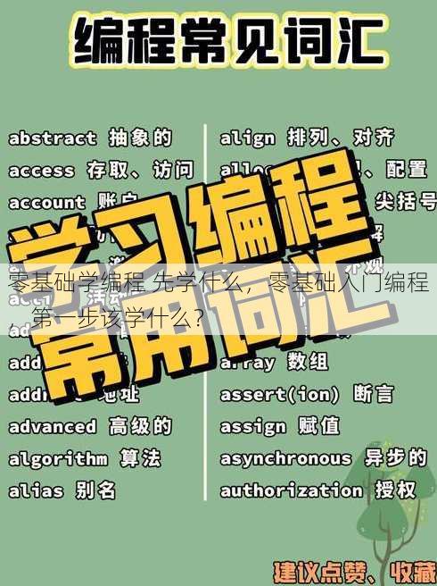 零基础学编程 先学什么