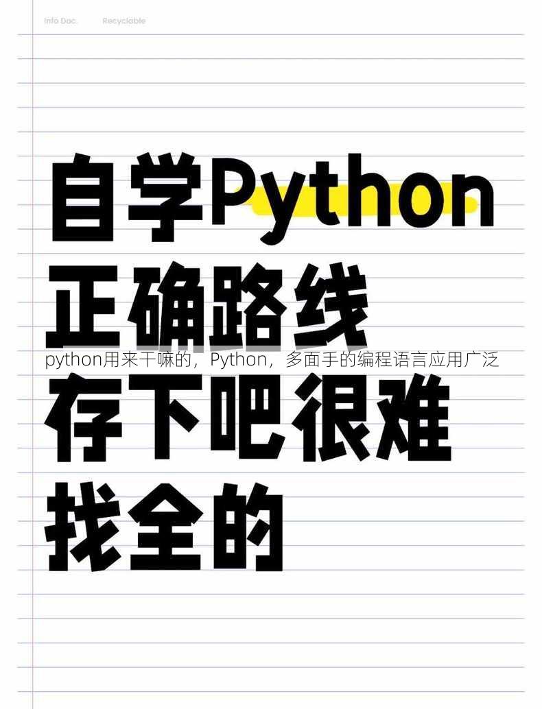python用来干嘛的