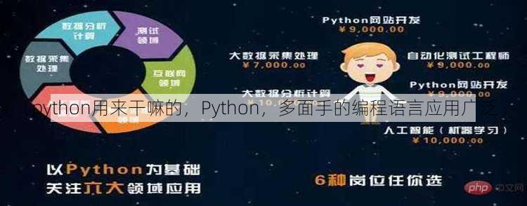 python用来干嘛的