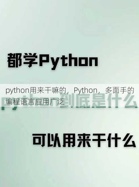python用来干嘛的