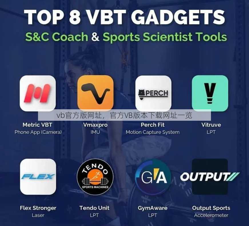 vb官方版网址
