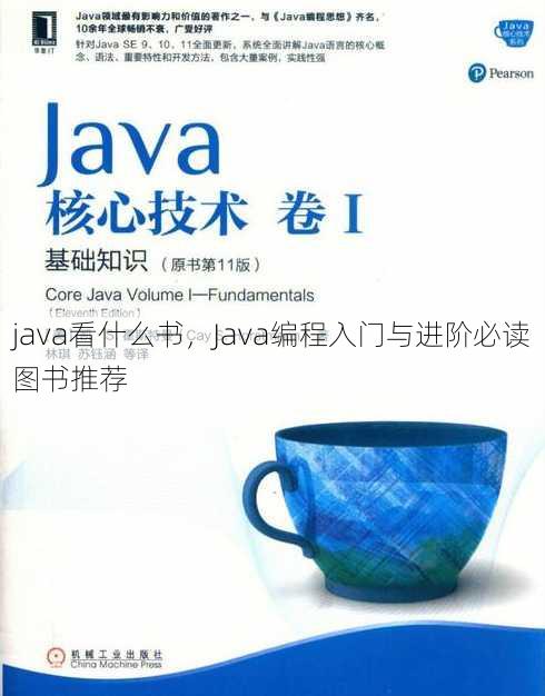 java看什么书