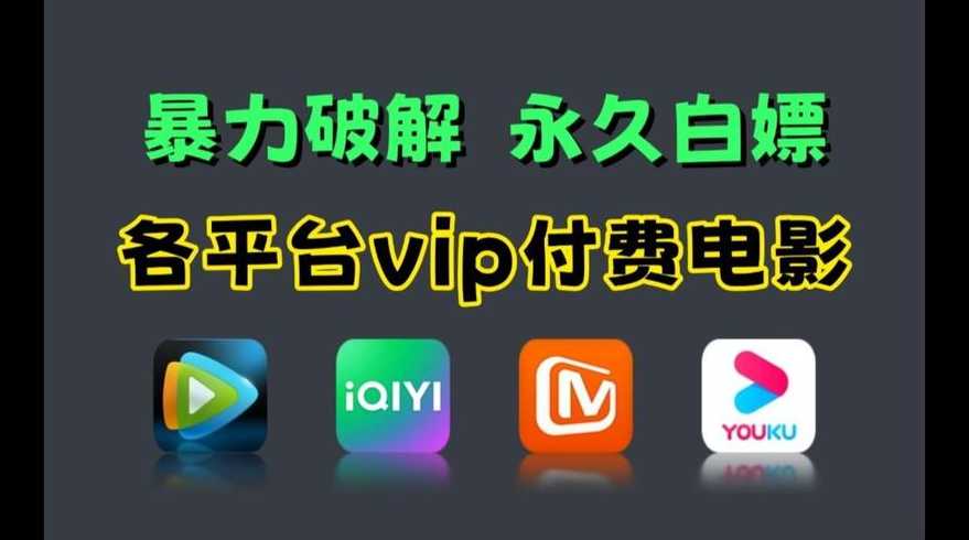 vip源码网（正版源码网）