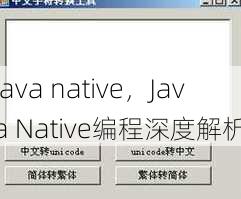 java native