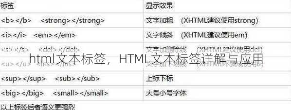 html文本标签