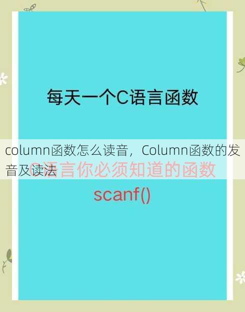 column函数怎么读音