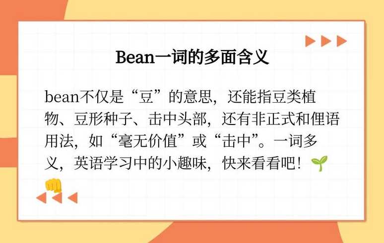 bean是什么意思翻译（bean的意思中文翻译）