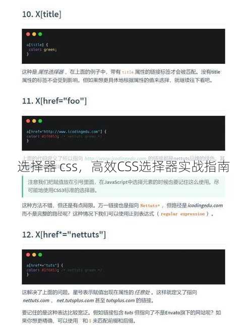 选择器 css