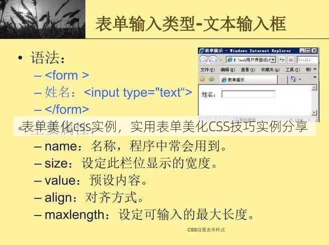 表单美化css实例