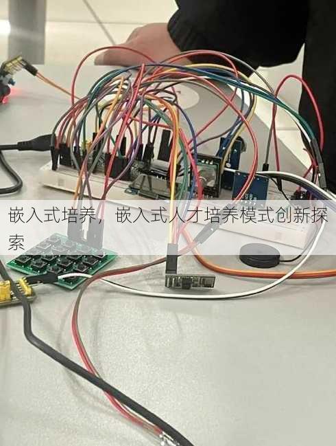 嵌入式培养