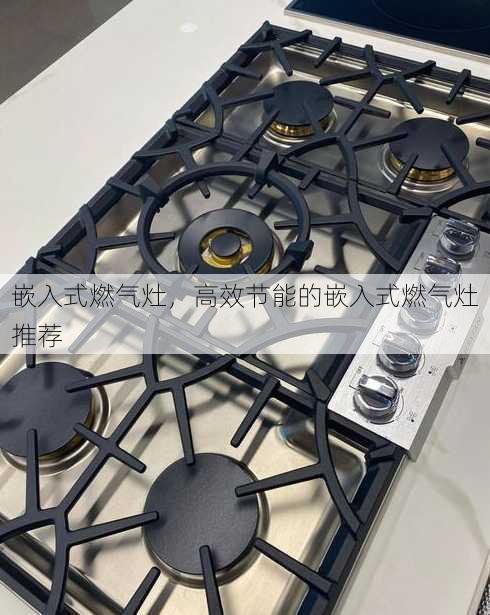 嵌入式燃气灶