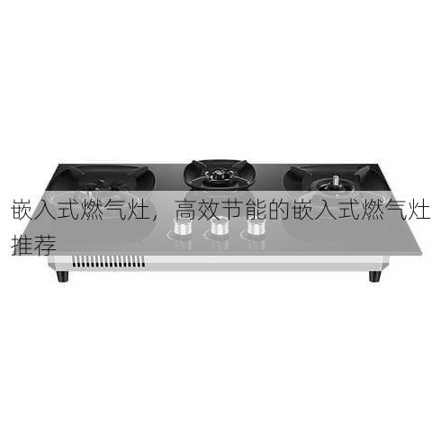 嵌入式燃气灶