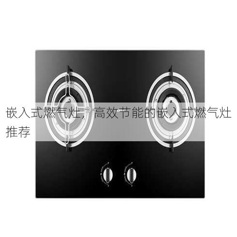 嵌入式燃气灶