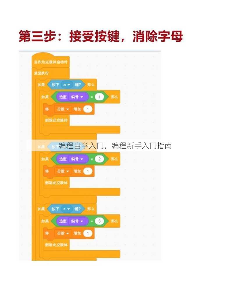 编程自学入门