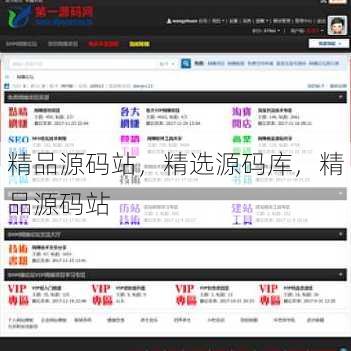 精品源码站