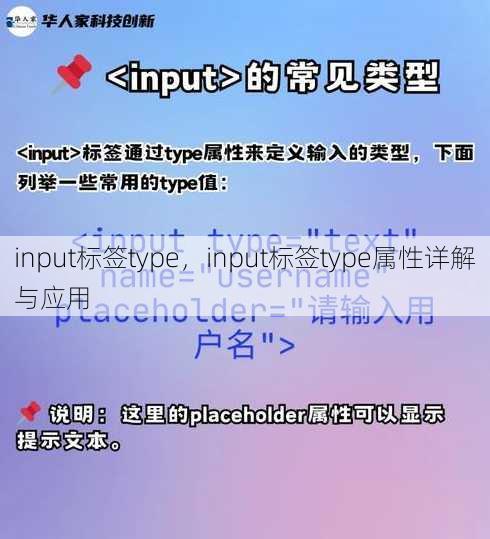 input标签type